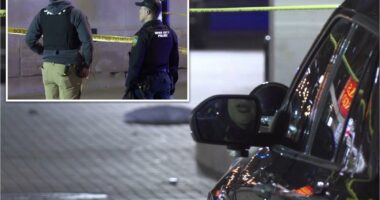 17-year-old sought for attempted murder in mass shooting near University of Iowa: police