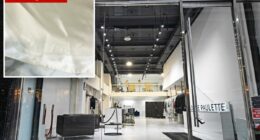 $18 Kleinfeld Bridal wedding gown allegedly ruined by NYC dry cleaner