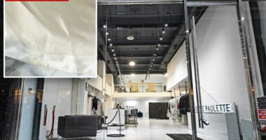 $18 Kleinfeld Bridal wedding gown allegedly ruined by NYC dry cleaner