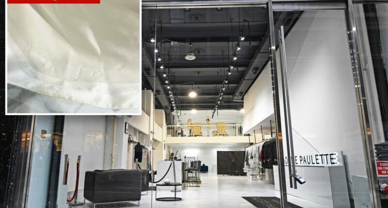 $18 Kleinfeld Bridal wedding gown allegedly ruined by NYC dry cleaner