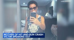 $1K reward offered in South Chicago hit-and-run crash that killed Raven Myers on 83rd Street: Cook County Crime Stoppers