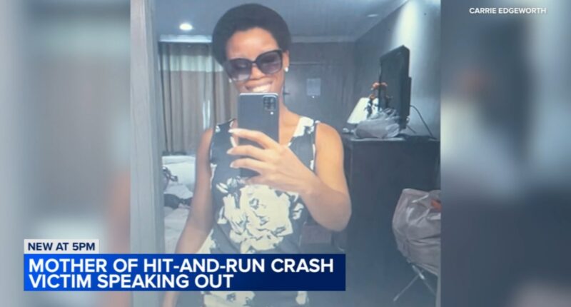 $1K reward offered in South Chicago hit-and-run crash that killed Raven Myers on 83rd Street: Cook County Crime Stoppers