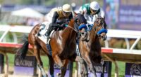 2026 Kentucky Derby predictions, horses, odds, date: Surprising picks via elite horse racing expert