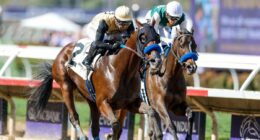 2026 Kentucky Derby predictions, horses, odds, date: Surprising picks via elite horse racing expert
