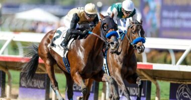 2026 Kentucky Derby predictions, horses, odds, date: Surprising picks via elite horse racing expert