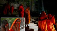 22 Buddhist monks arrested at Sri Lanka airport for allegedly hiding 242 pounds of marijuana in luggage