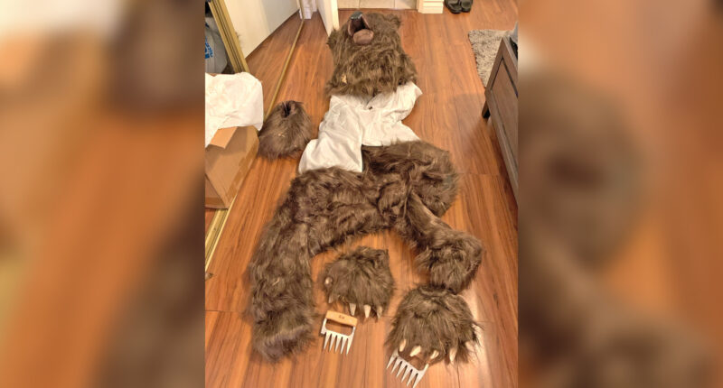 3 Southern California residents sentenced in bear suit insurance fraud scheme