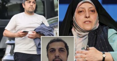 3 more Iranian nationals with ties to Islamic regime arrested while living lavishly in LA
