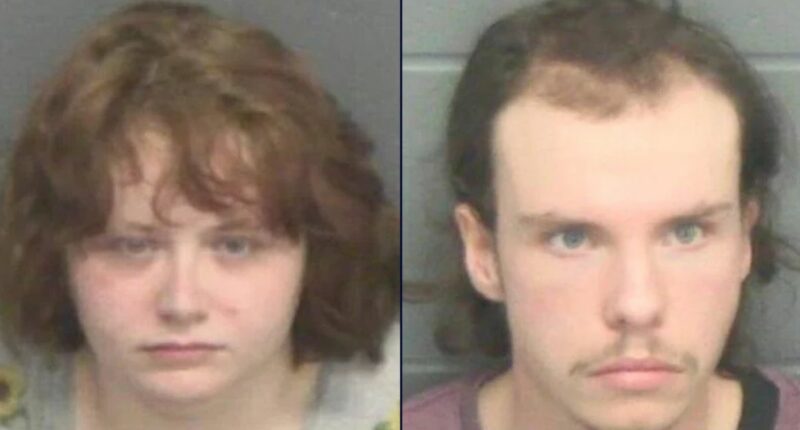 3-year-old forced to go on dialysis after mom and boyfriend blamed catastrophic injuries on 'sleepwalking' into door handles, police say