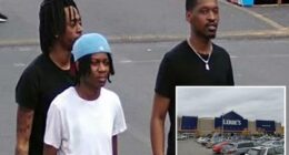 4 goons steal car, mow down 72-year-old using walker in NYC Lowe's parking lot: cops