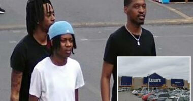 4 goons steal car, mow down 72-year-old using walker in NYC Lowe's parking lot: cops