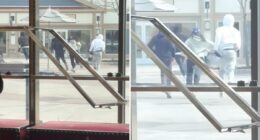 4 thieves steal Gucci handbags worth $30K in daylight smash-and-grab at Woodbury Commons in NY