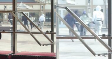 4 thieves steal Gucci handbags worth $30K in daylight smash-and-grab at Woodbury Commons in NY