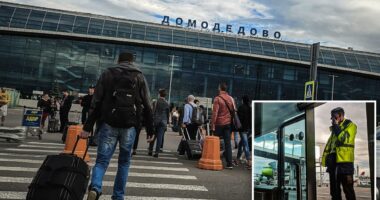 40 passengers from Israel faced hours-long detainment at Moscow airport: 'Utterly unacceptable'