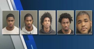 5 charged in $2M luxury car theft ring, Orange County Sheriff’s Office says