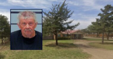 78-year-old 'snapped' and shot son in head, deputies say
