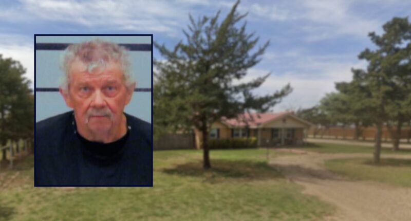 78-year-old 'snapped' and shot son in head, deputies say