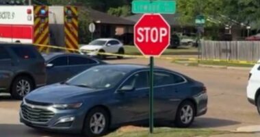 8 children killed, 2 adults wounded in Louisiana mass shooting