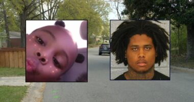 8-year-old girl killed biking to friend's for sleepover when she 'wasn't quick enough' to avoid speeding driver: Cops