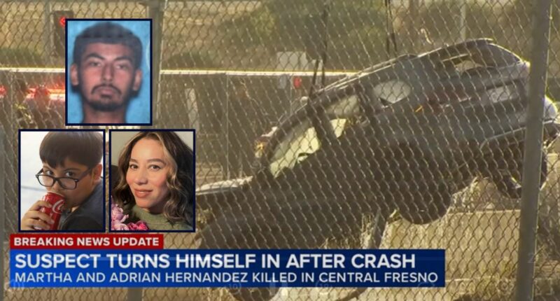 9-year-old's body found floating in canal, miles away from where he and his mom's car were plowed into water by hit-and-run driver who 'showed no concern,' family and cops say