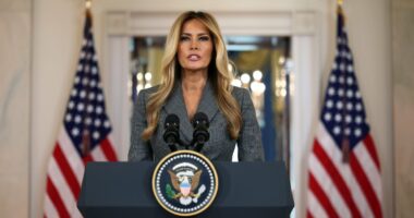 AMANDA PLATELL: I'm haunted by Melania's Epstein speech