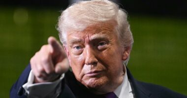 ANDREW NEIL: My source near Trump told me the truth about the Iran war