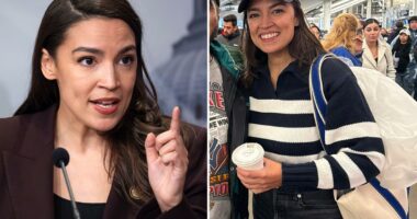 AOC enjoys Yankees game from suite during shutdown