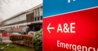 A&E admissions are QUICKER during NHS doctors' strikes, study finds