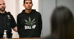 Accused drug dealer 'rolls up' to Long Island court with super conspicuous hoodie