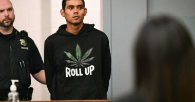 Accused drug dealer 'rolls up' to Long Island court with super conspicuous hoodie