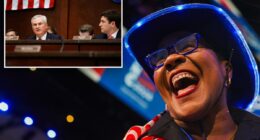 ActBlue CEO may have 'intentionally misled Congress' about foreign donations to Dems: GOP