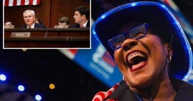 ActBlue CEO may have 'intentionally misled Congress' about foreign donations to Dems: GOP