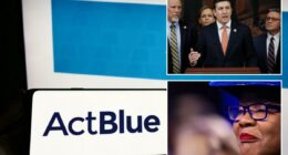 ActBlue employees took the Fifth in House depositions 146 times