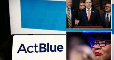 ActBlue employees took the Fifth in House depositions 146 times