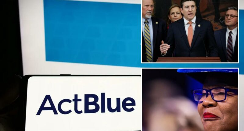 ActBlue employees took the Fifth in House depositions 146 times
