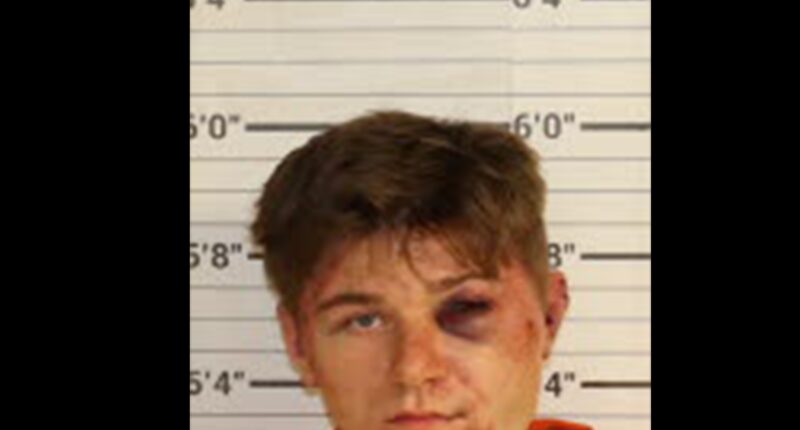 After a Park Confrontation, a Man Shot His Ex-Girlfriend 6 Times in the Head