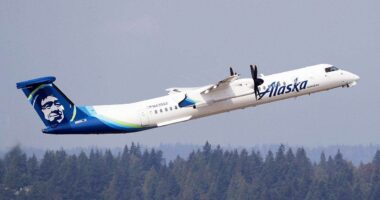 Airline worker stole plane, performed barrel roll before deadly crash: Inside final moments