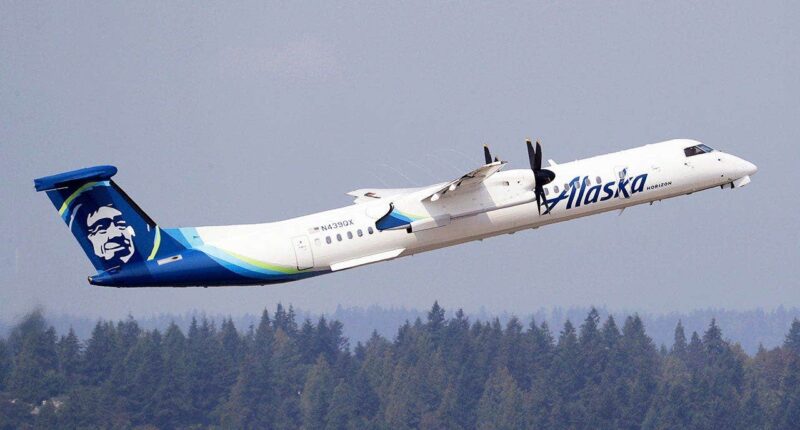 Airline worker stole plane, performed barrel roll before deadly crash: Inside final moments