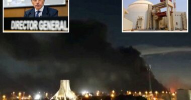 Airstrikes come within 82 yards of Iran's nuclear power plant: UN watchdog