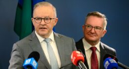 Albo warns reopening of Hormuz Strait is 'fragile' amid fuel crisis