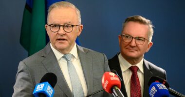 Albo warns reopening of Hormuz Strait is 'fragile' amid fuel crisis