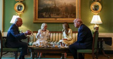 All the hidden details from the King and Queen's tea with the Trumps