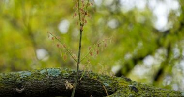 Allergy season is getting longer and worse. Here's how to fight back.