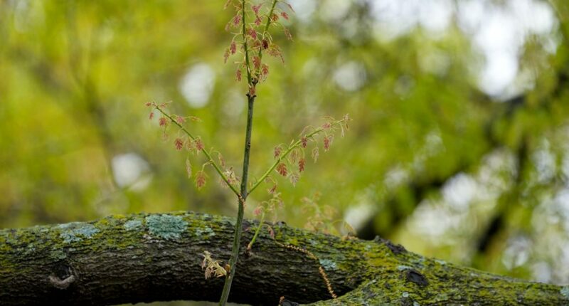 Allergy season is getting longer and worse. Here's how to fight back.