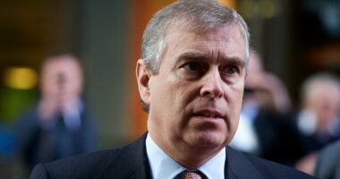 Andrew Mountbatten-Windsor hit Vice Admiral in row over Buckingham Palace charity event - forcing Prince Philip to pen apology letter on his son's behalf, royal biographer ROBERT HARDMAN claims