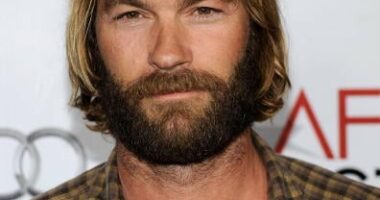 Andrew Wilson Net Worth | Celebrity Net Worth