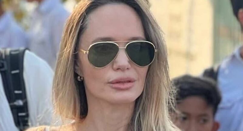 Angelina Jolie fuels more wild body double conspiracy theories