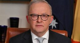 Anthony Albanese cops backlash over his fuel crisis address to the nation - as critics question how calming it is to be told not to panic in an emergency speech