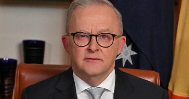 Anthony Albanese cops backlash over his fuel crisis address to the nation - as critics question how calming it is to be told not to panic in an emergency speech