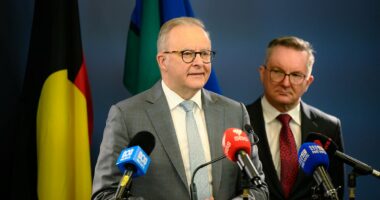 Anthony Albanese not ruling out tougher fuel measures for Aussies